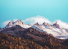 世界杯在线观看-【直播】小白熊谈清清转野:当时猪哼让我去现场,太搞笑了,去毛的现场