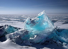 世界杯在线观看-【直播】小白熊谈清清转野:当时猪哼让我去现场,太搞笑了,去毛的现场